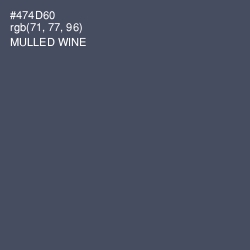 #474D60 - Mulled Wine Color Image